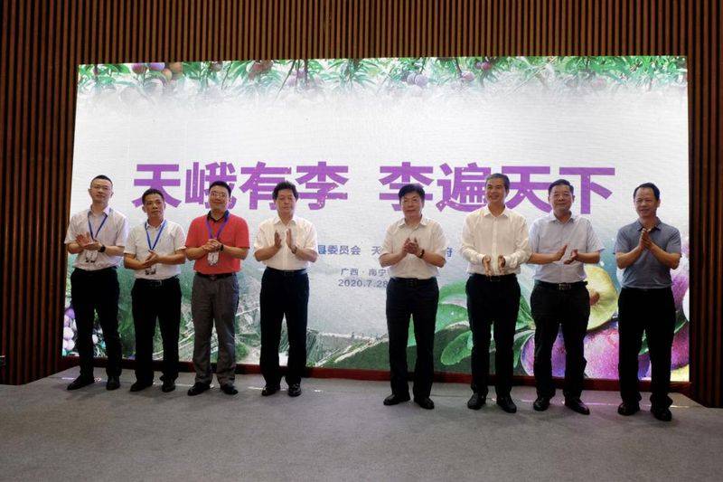 龙滩珍珠李种植技术