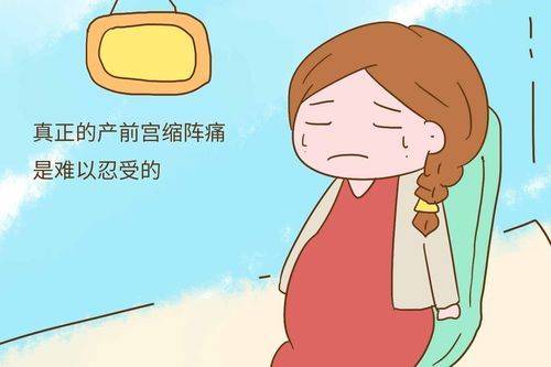 规律宫缩什么感觉