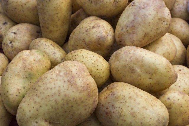 Southern potato cultivation techniques