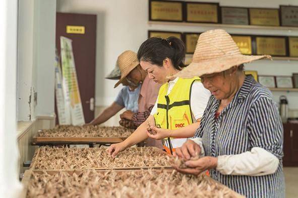 West red flower plantation technology