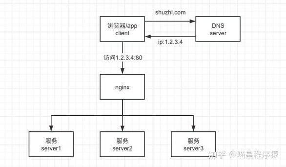 反想代理服务器被seo