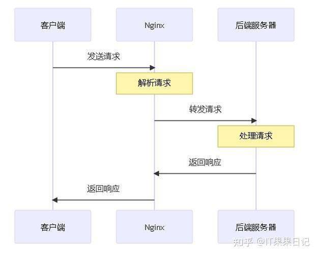 反想代理服务器被seo