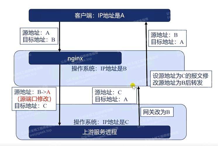 反想代理服务器被seo