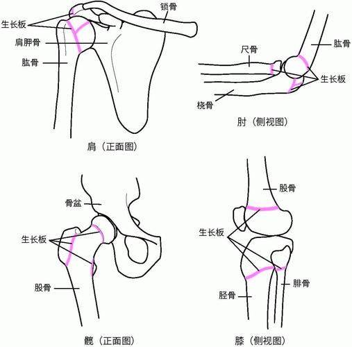 预防出生缺陷知识问答