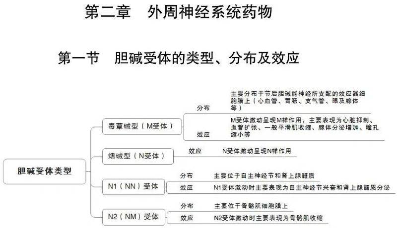 磺胺类药物作用机理