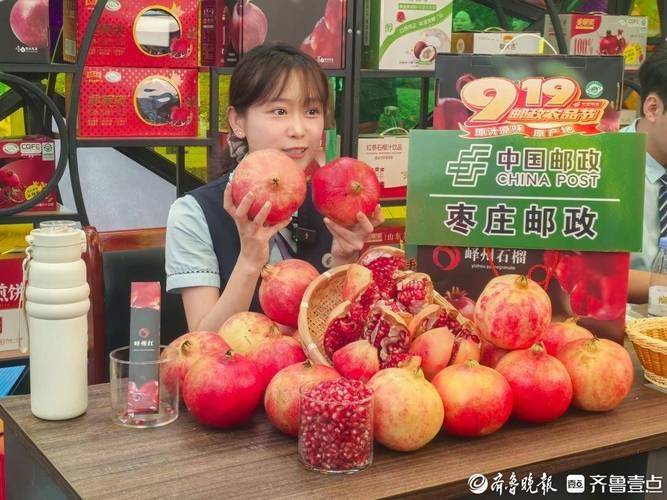 石榴的种植方法