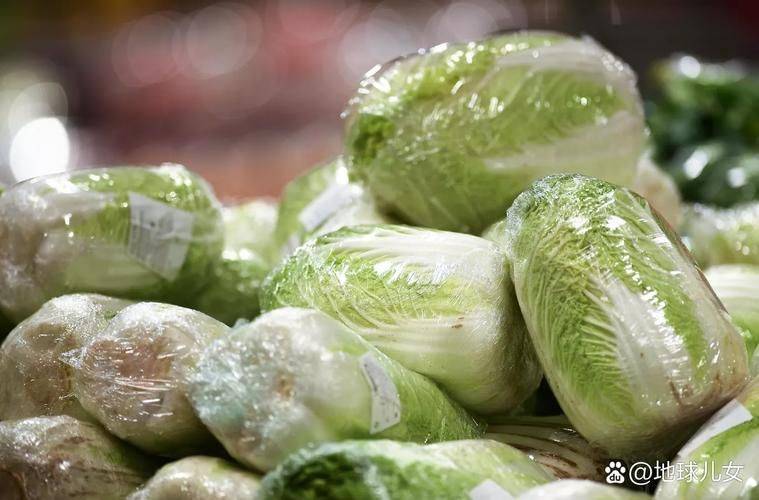 韩国高温致农产品价格暴涨 政府投放储备白菜