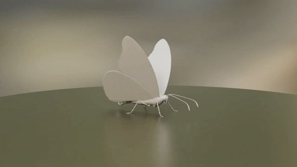 3d贴图术语