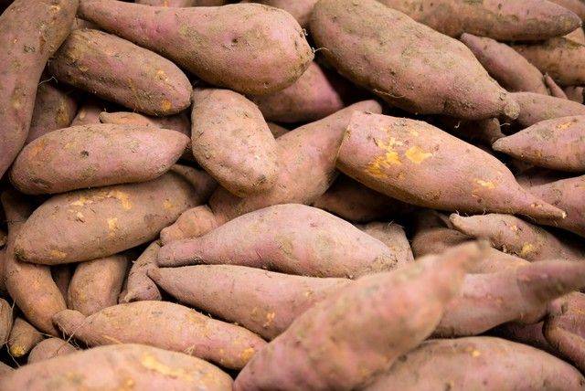 Potato growing techniques