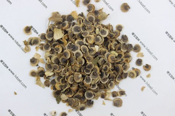 蜀葵种子的种植方法