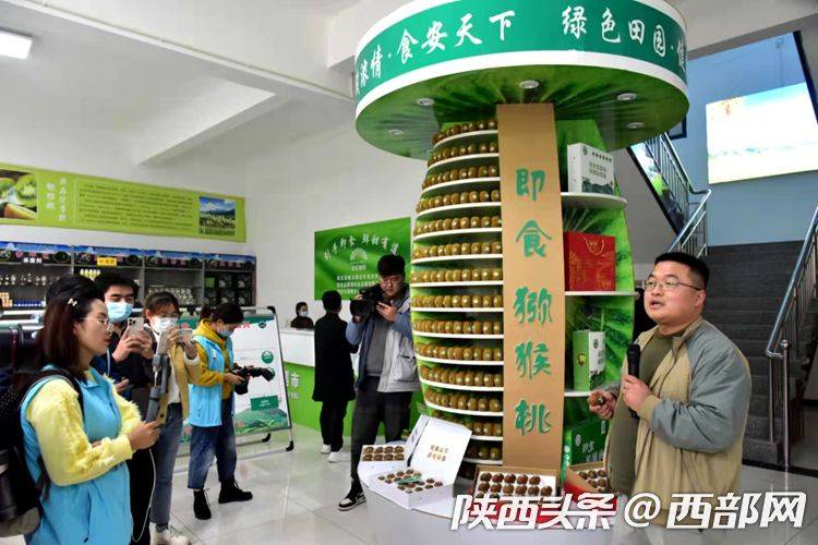 猕猴桃的种植方法