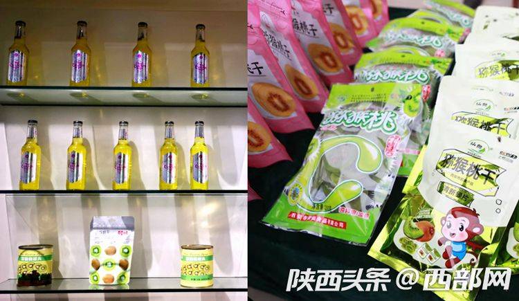 猕猴桃的种植方法