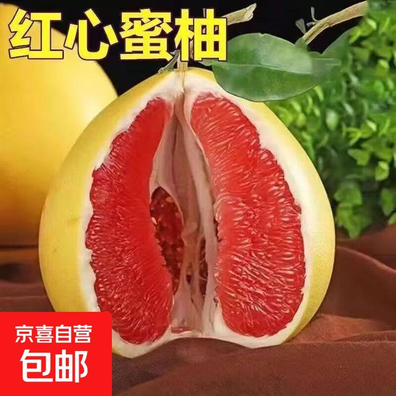 果树苗木种植蜜柚苗新品种