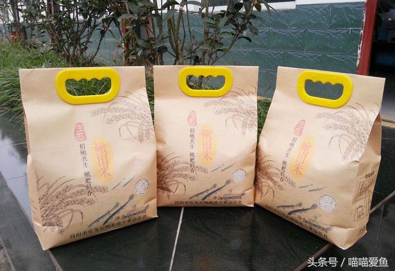 莲藕种植技术套养泥鳅