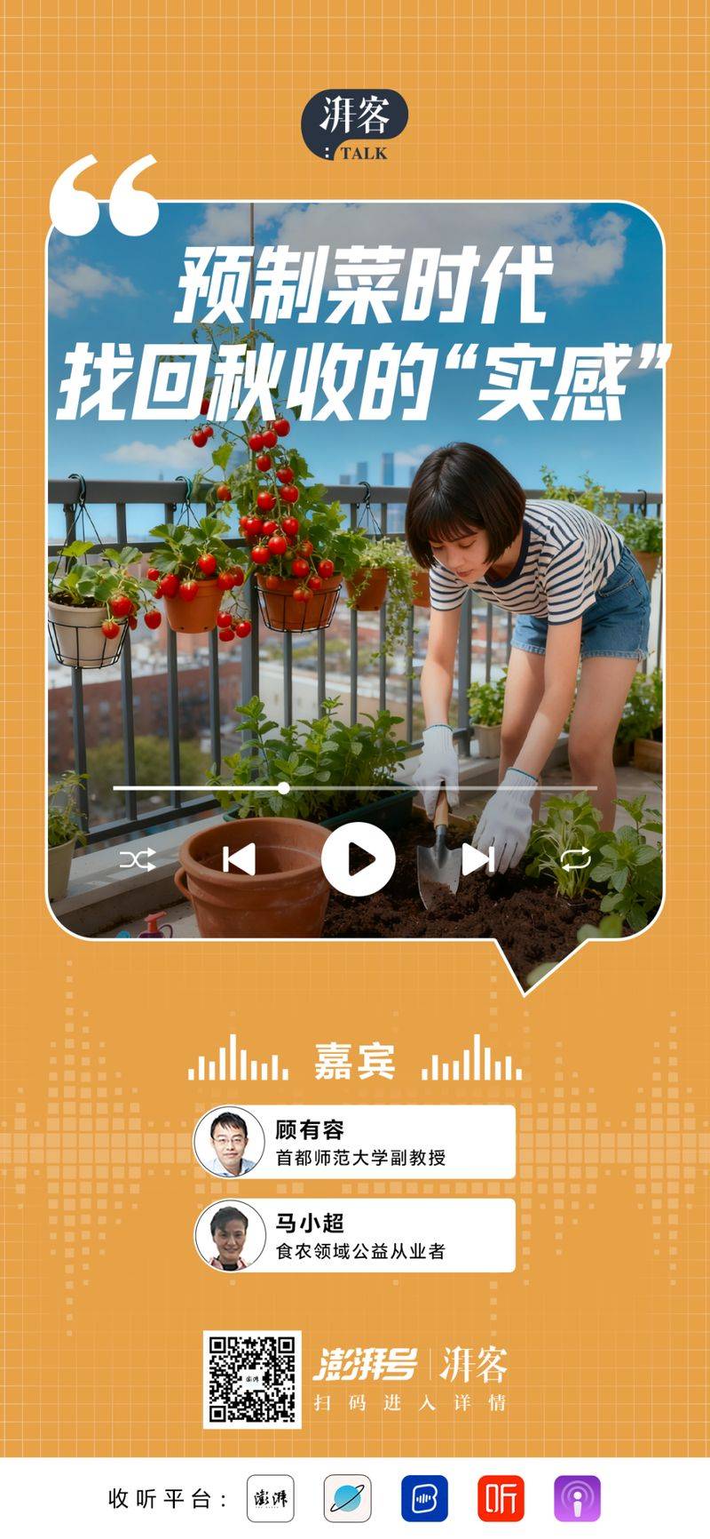 How to grow vegetables on the balcony
