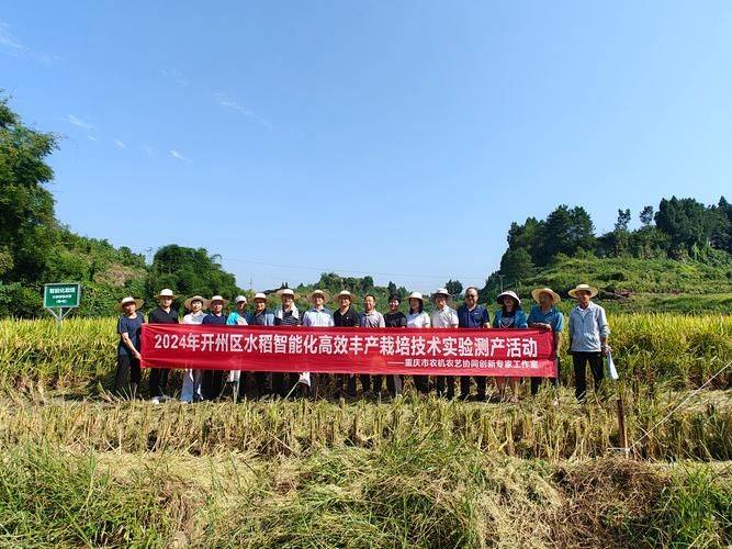 Recent rice cultivation techniques