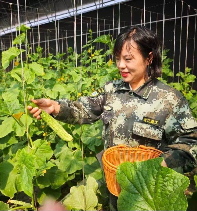 大棚黄瓜种植技术视频