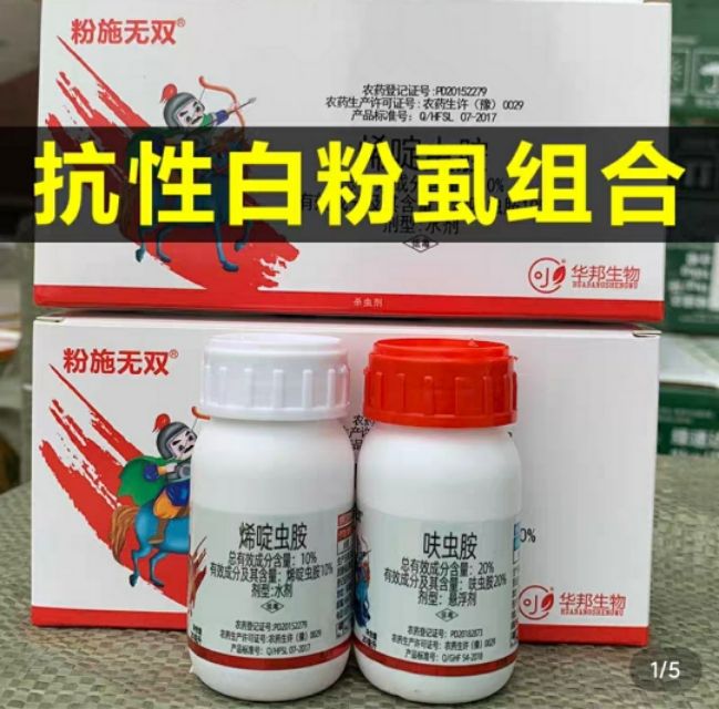 盆栽枸杞种植方法