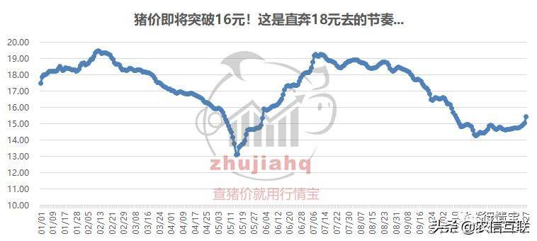 养猪行情预测