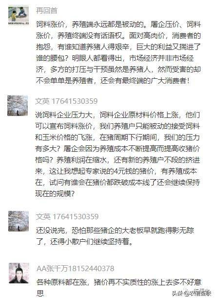 养猪行情预测
