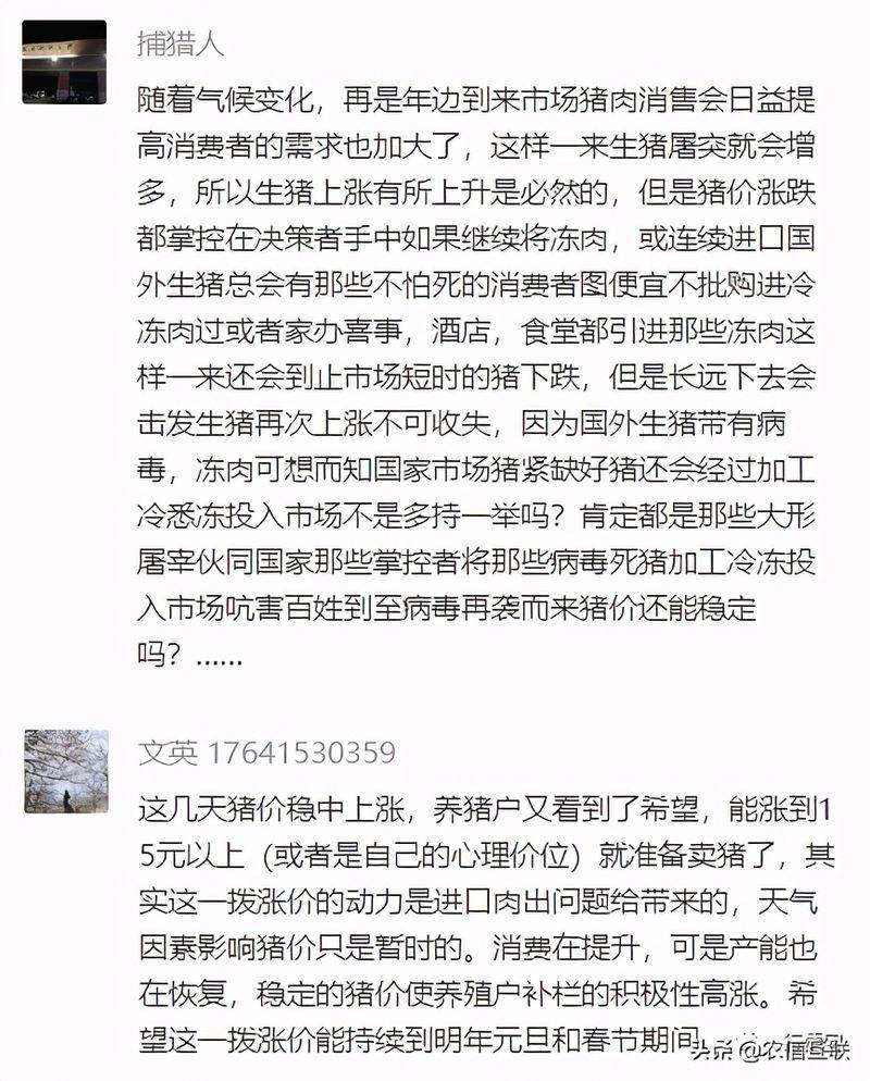 养猪行情预测