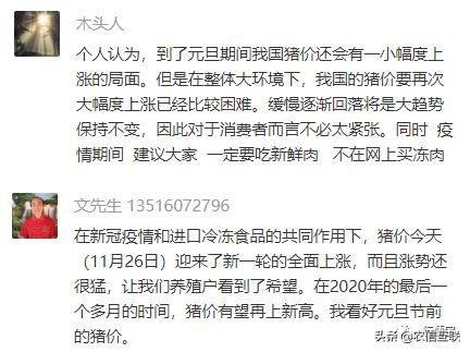 养猪行情预测