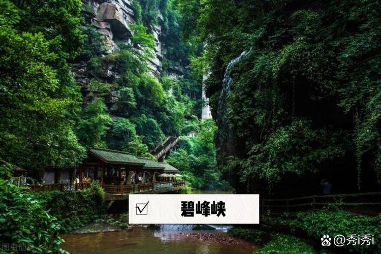 自助游网站排名
