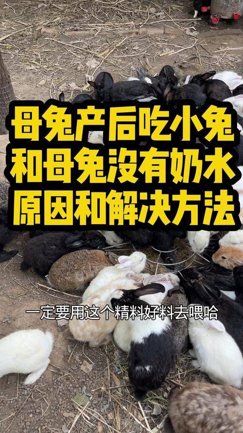 2026年10月18日皮毛行情