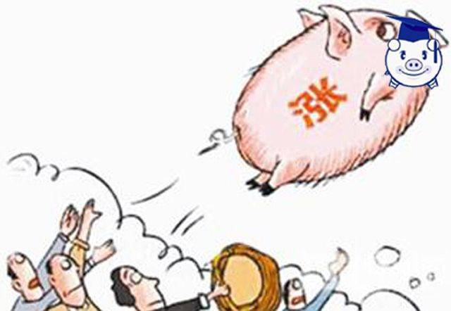 养猪行情预测