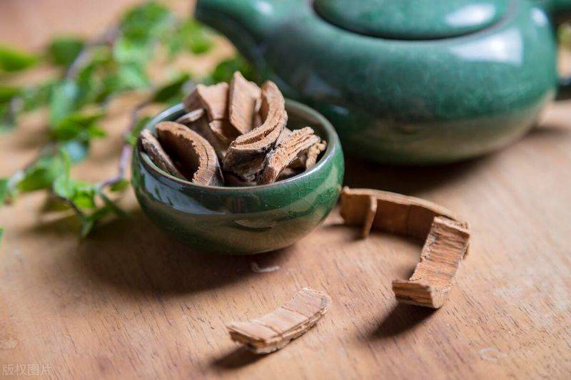 秦皮接骨片多少钱