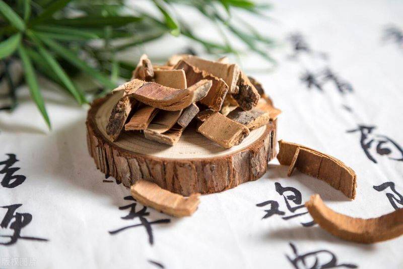 秦皮接骨片多少钱