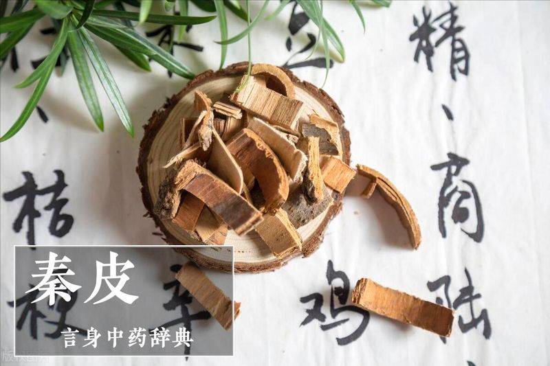 秦皮接骨片多少钱