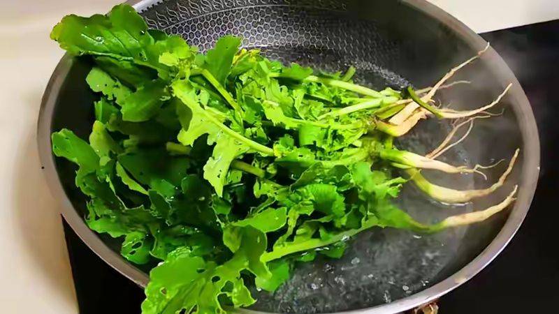 水果青萝卜种植