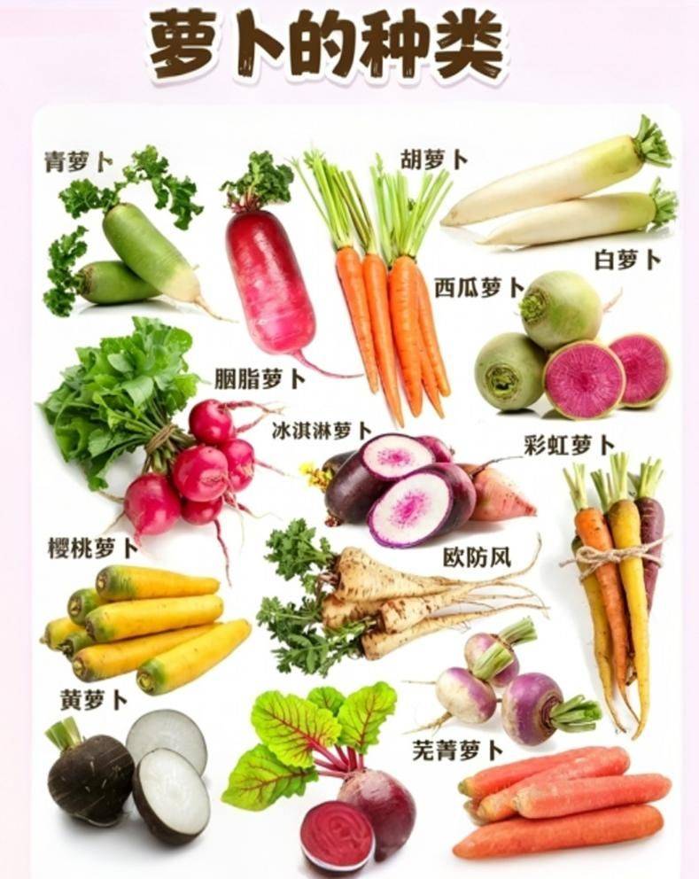 水果青萝卜种植