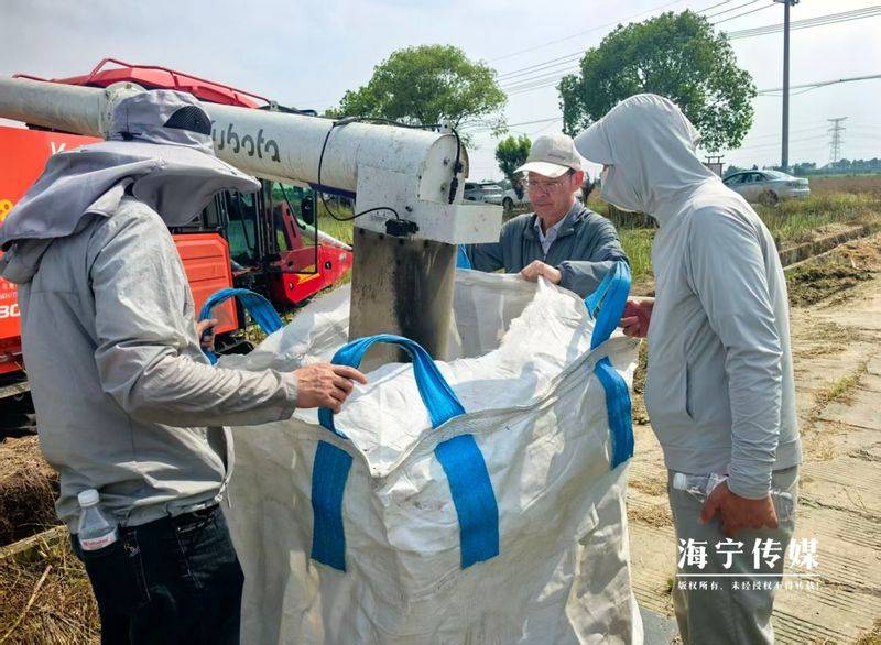 油菜种植方法