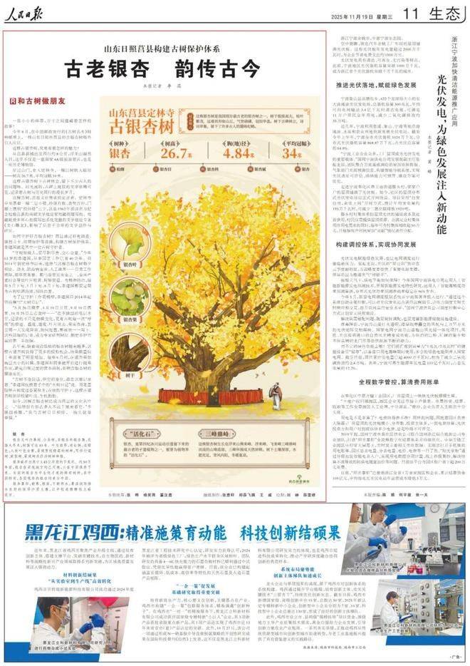 银杏树种植方法