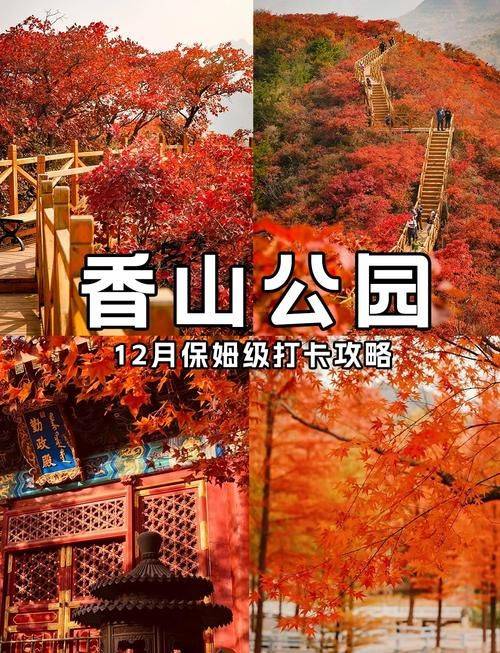 北京香山一日游多少钱