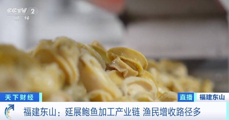 野生鲍鱼多少钱一斤
