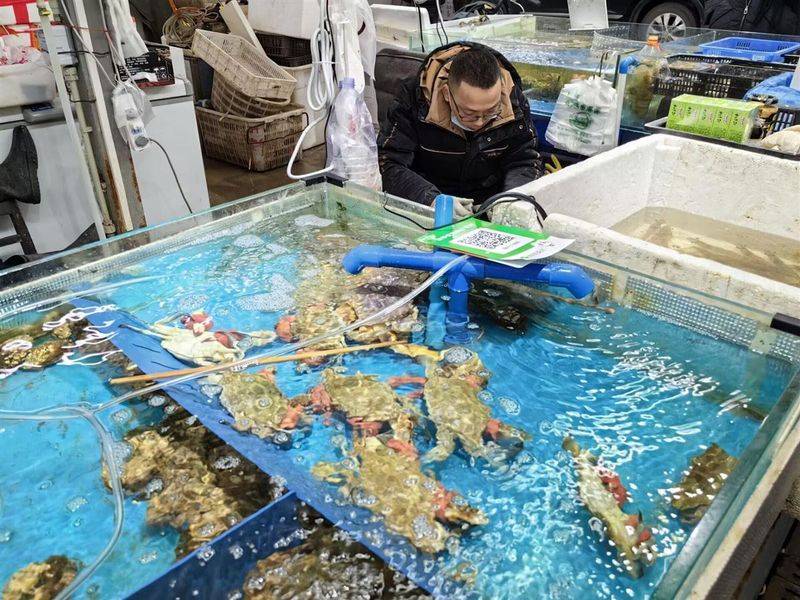野生鲍鱼多少钱一斤