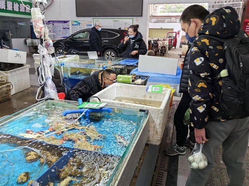 野生鲍鱼多少钱一斤