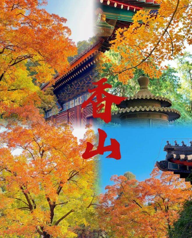北京香山一日游多少钱