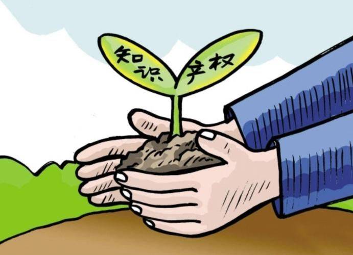 知识产权代理事务所