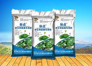最新莲藕种植技术在线视频