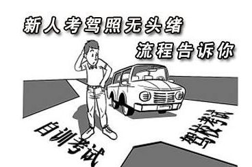 学车驾驶员培训理论