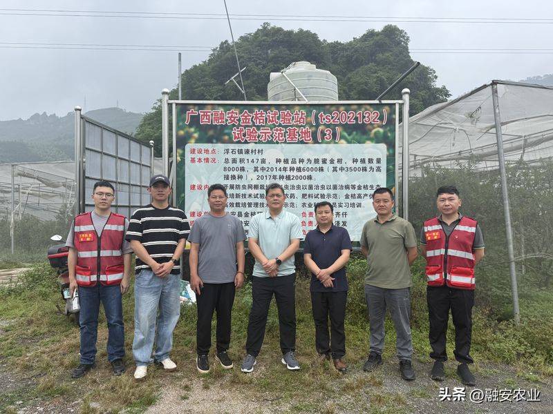 金桔种植技术与管理