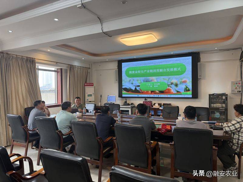 金桔种植技术与管理