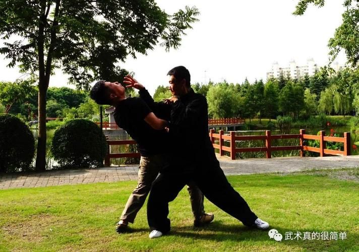 金刚八极拳技击理论