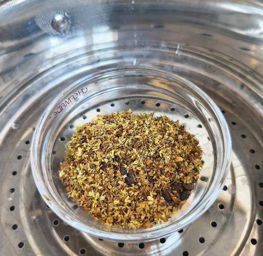 桂花树种子种植技术