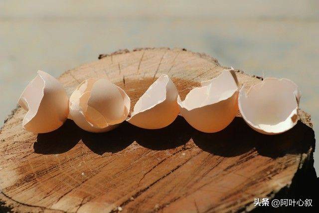 金桔种植技术与管理