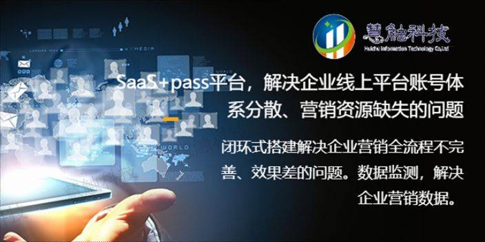 企业seo营销方案定制